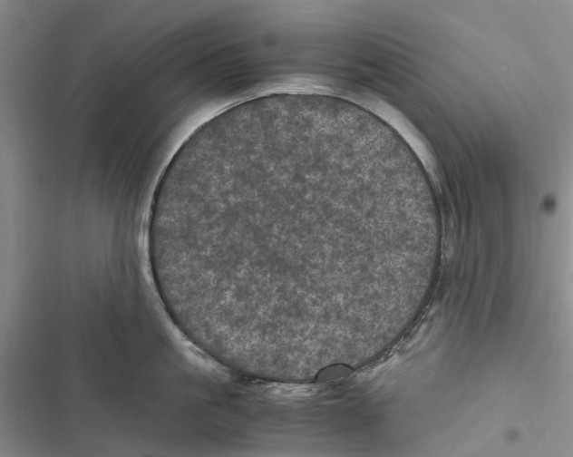 X0000116800861201001151121