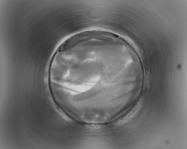 X0000116800862201001151121