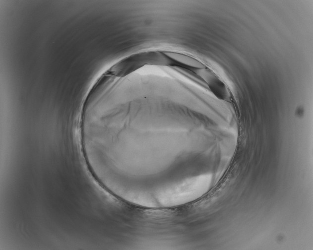 X0000116800863201001151121