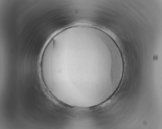 X0000116800864201001151121