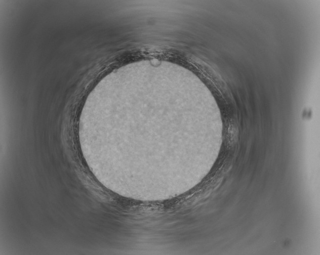 X0000116800865201001151120