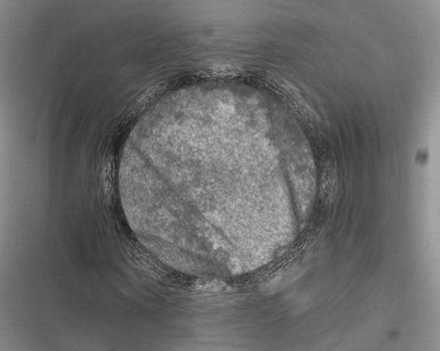 X0000116800866201001151120