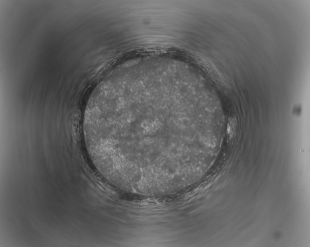 X0000116800867201001151120