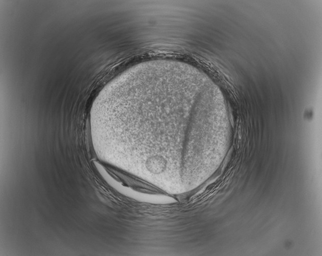 X0000116800868201001151120