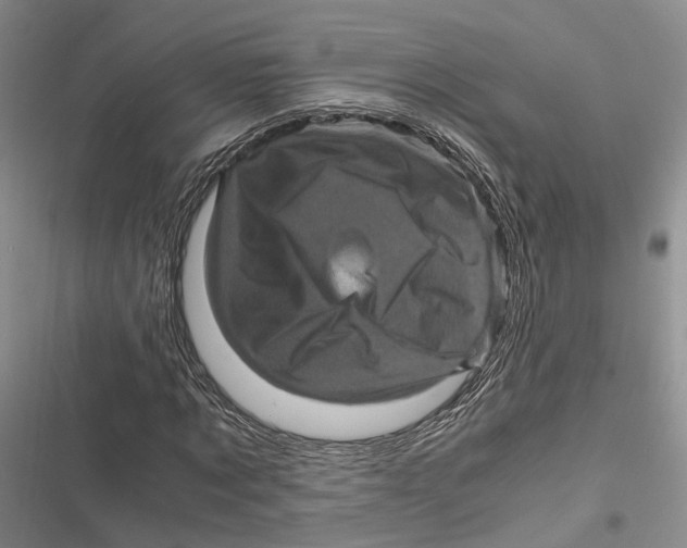 X0000116800869201001151120