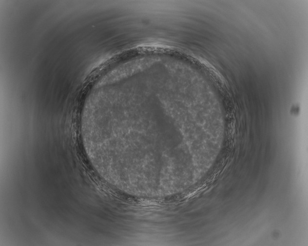 X0000116800870201001151120