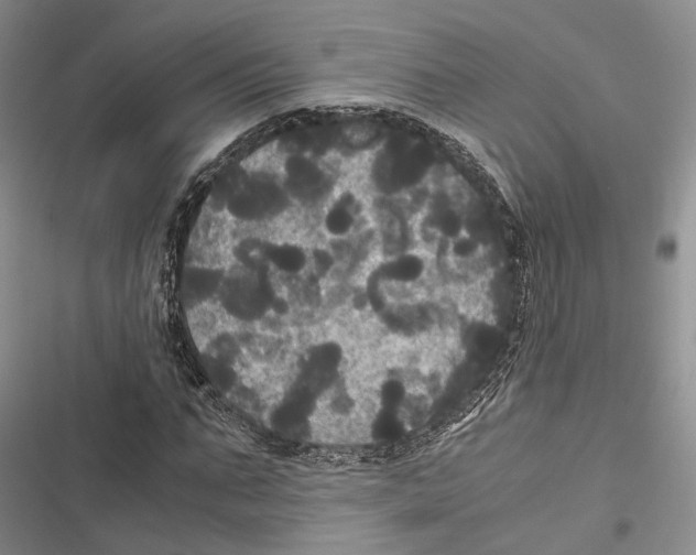 X0000116800871201001151120