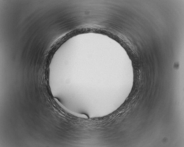 X0000116800872201001151120
