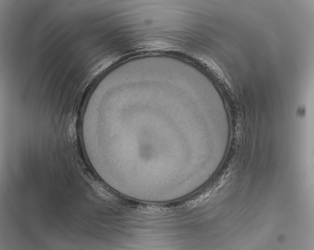 X0000116800873201001151120