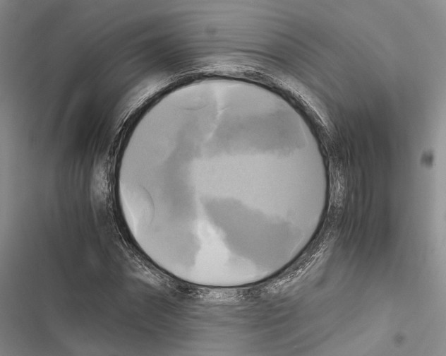 X0000116800874201001151120