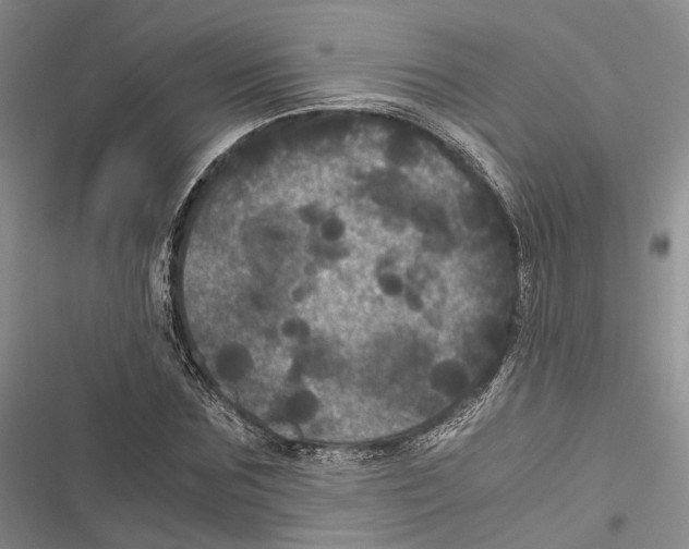 X0000116800875201001151120