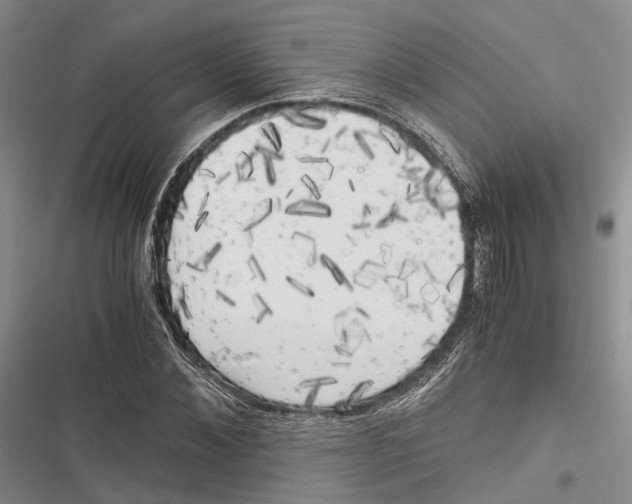 X0000116800876201001151120