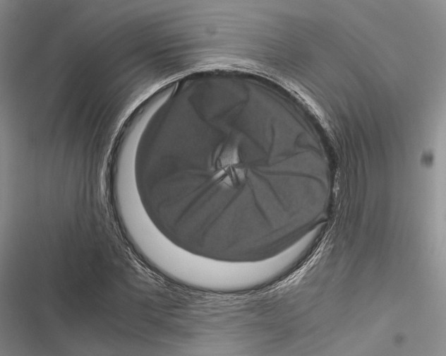 X0000116800877201001151120