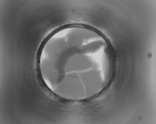 X0000116800879201001151120