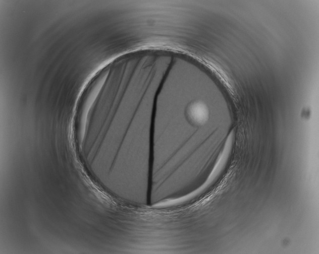 X0000116800880201001151120