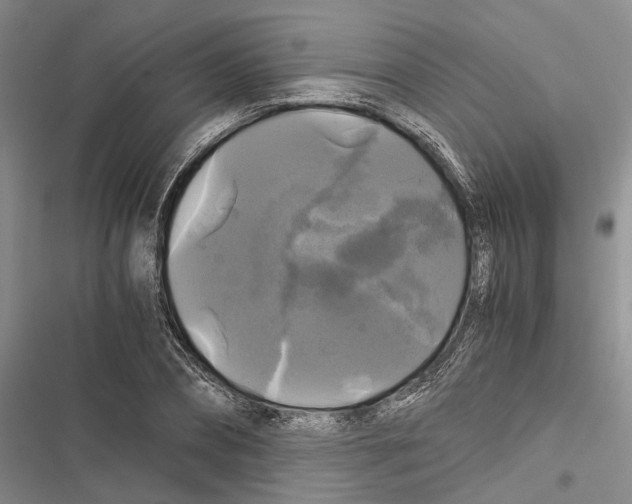 X0000116800882201001151120
