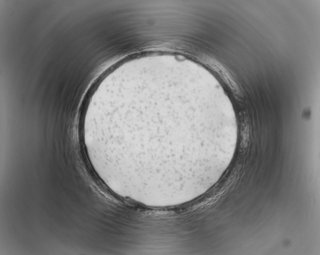 X0000116800884201001151120