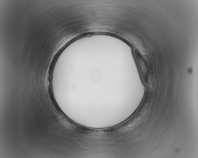 X0000116800885201001151120