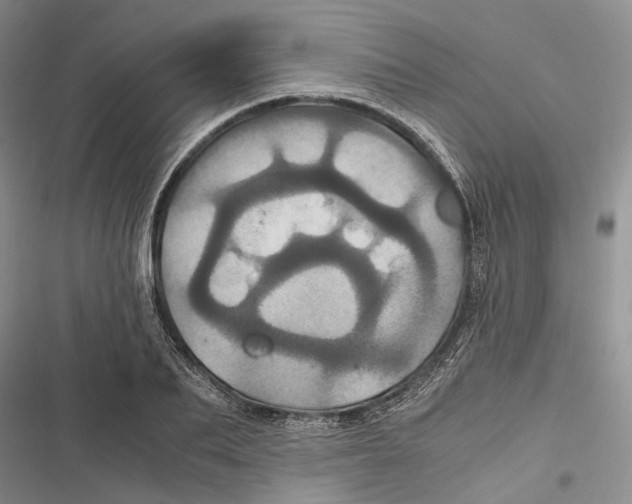 X0000116800887201001151120