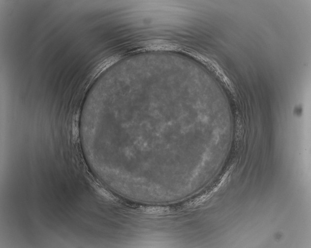 X0000116800889201001151120