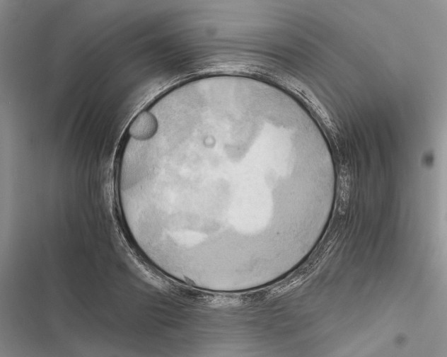 X0000116800890201001151120