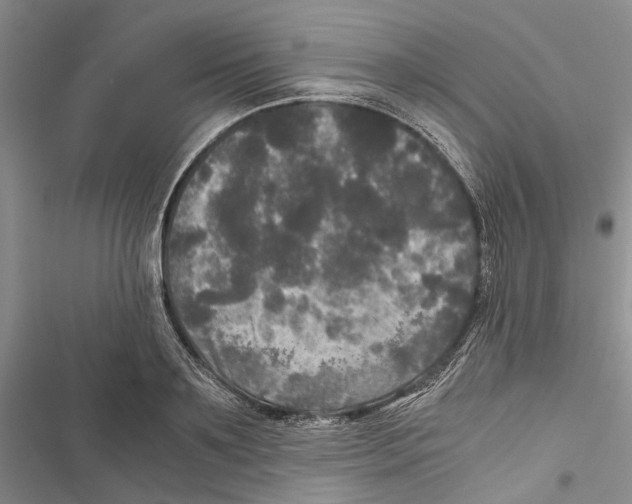 X0000116800891201001151120