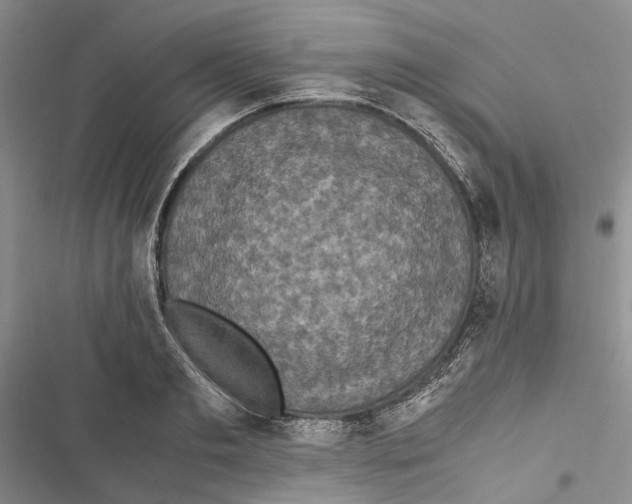 X0000116800893201001151120