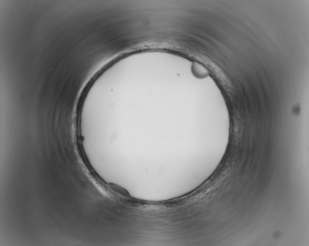 X0000116800894201001151120