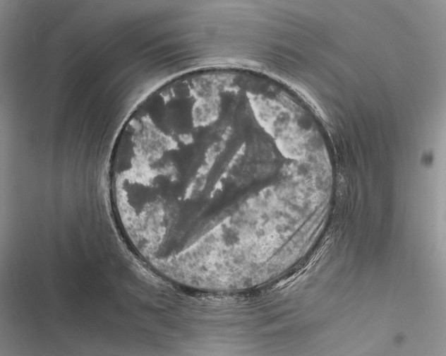 X0000116800895201001151120