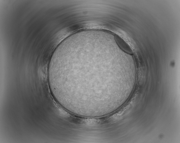 X0000116800897201001151120