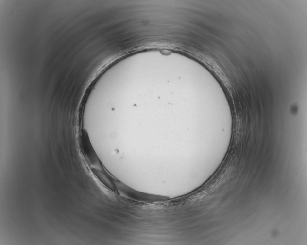 X0000116800898201001151120