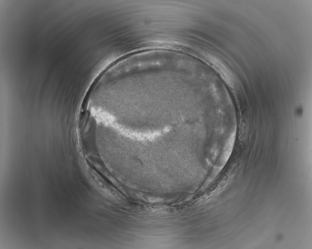 X0000116800899201001151120