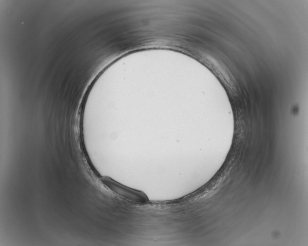 X0000116800900201001151120