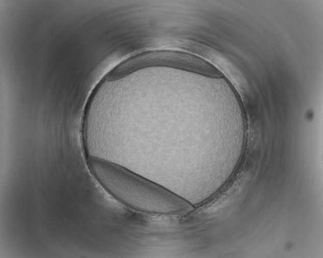 X0000116800901201001151120