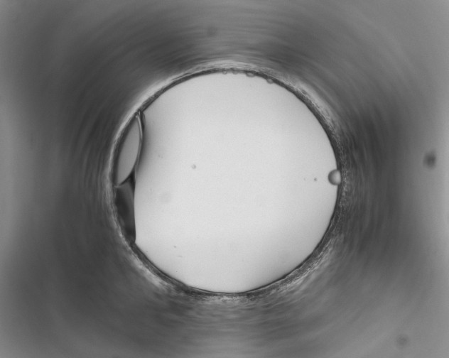 X0000116800902201001151120