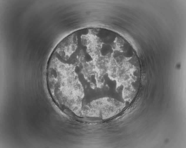 X0000116800903201001151120