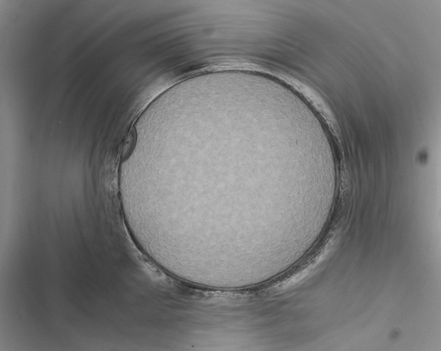 X0000116800905201001151120