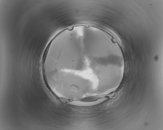 X0000116800907201001151120