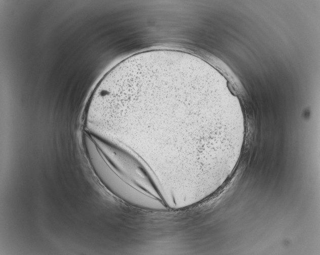 X0000116800908201001151120
