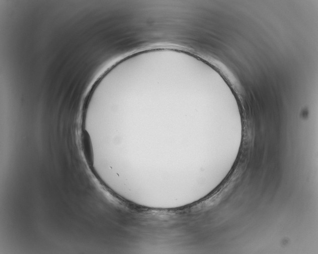 X0000116800910201001151120