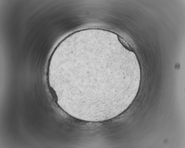 X0000116800912201001151120