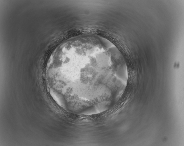 X0000116800913201001151119