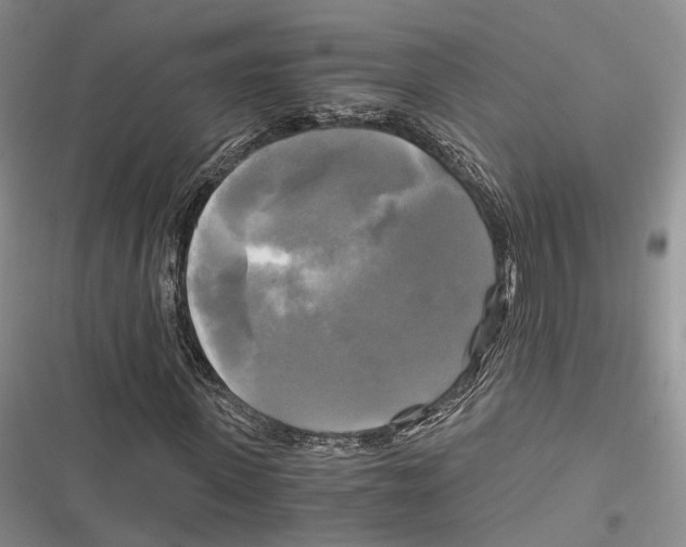 X0000116800915201001151119