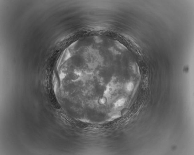X0000116800917201001151119