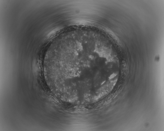 X0000116800918201001151119