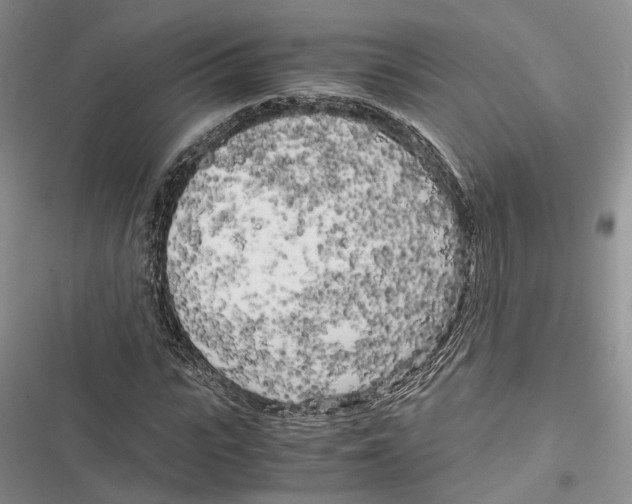 X0000116800919201001151119