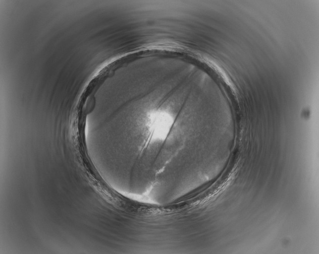 X0000116800923201001151119