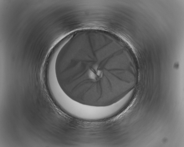 X0000116800925201001151119
