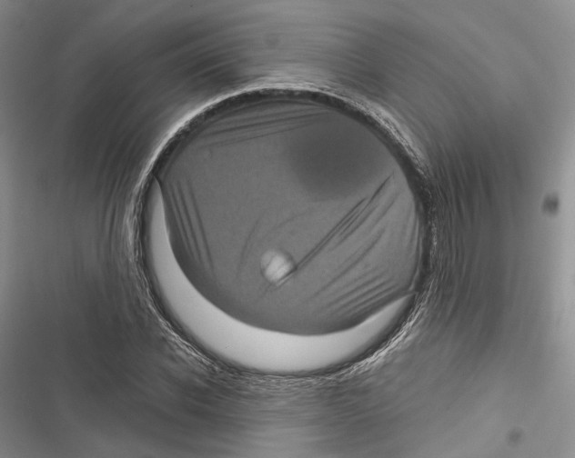 X0000116800926201001151119