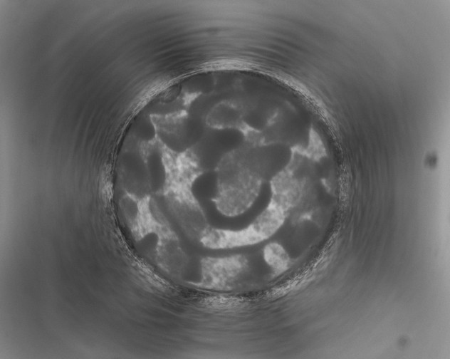 X0000116800929201001151119